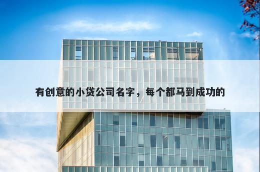 有创意的小贷公司名字，每个都马到成功的