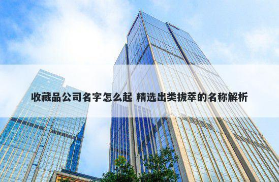收藏品公司名字怎么起 精选出类拔萃的名称解析
