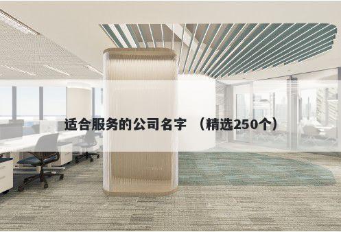 适合服务的公司名字 （精选250个）