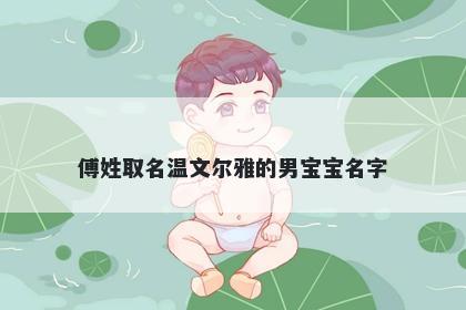 傅姓取名温文尔雅的男宝宝名字