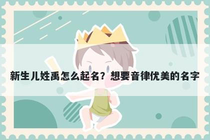 新生儿姓禹怎么起名？想要音律优美的名字