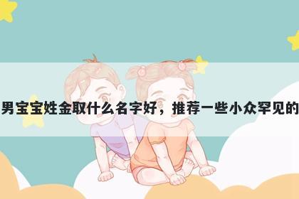 刚出生的男宝宝姓金取什么名字好，推荐一些小众罕见的男孩名字