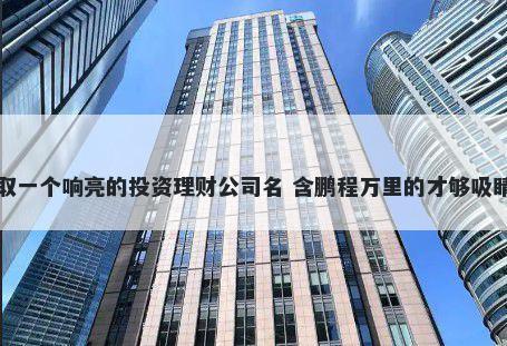 取一个响亮的投资理财公司名 含鹏程万里的才够吸睛