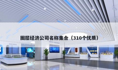 圈层经济公司名称集合（310个优质）