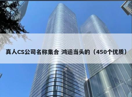 真人CS公司名称集合 鸿运当头的（450个优质）
