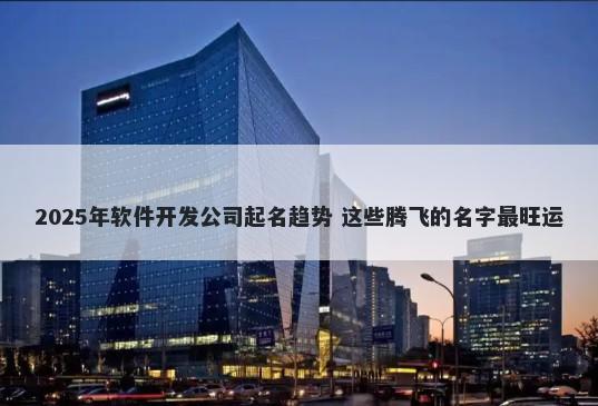 2025年软件开发公司起名趋势 这些腾飞的名字最旺运