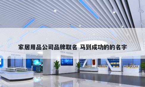 家居用品公司品牌取名 马到成功的的名字