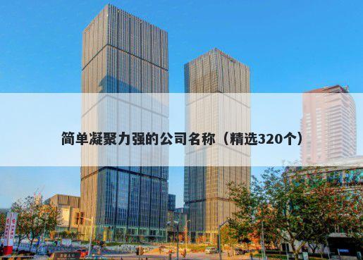 简单凝聚力强的公司名称（精选320个）