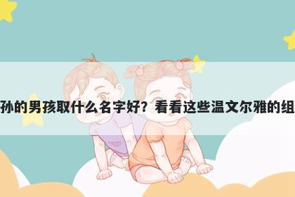 姓孙的男孩取什么名字好？看看...