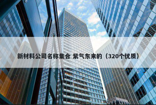 新材料公司名称集合 紫气东来的（320个优质）