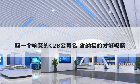 取一个响亮的C2B公司名 含纳福的才够吸睛