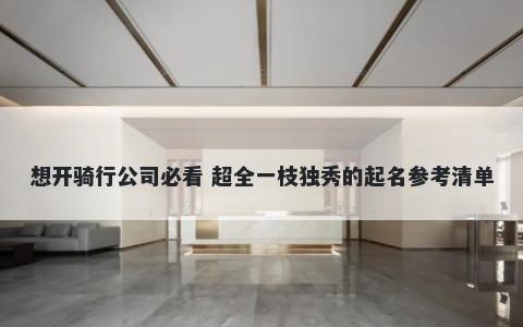 想开骑行公司必看 超全一枝独秀...