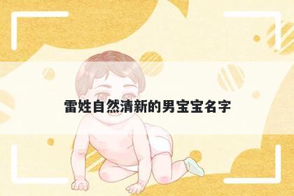 雷姓自然清新的男宝宝名字