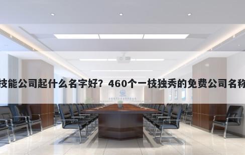 职业技能公司起什么名字好？46...