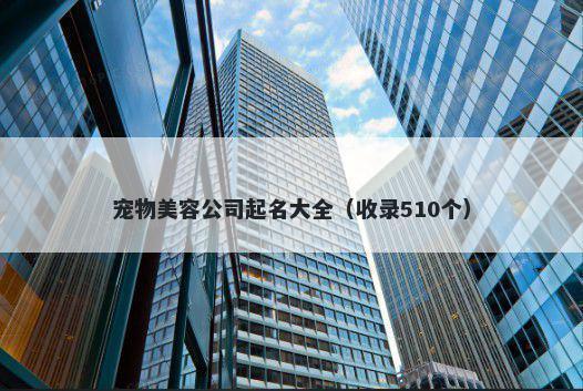 宠物美容公司起名大全（收录510个）