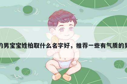 刚出生的男宝宝姓柏取什么名字好，推荐一些有气质的男孩名字