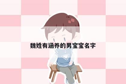 魏姓有涵养的男宝宝名字