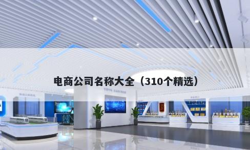 电商公司名称大全（310个精选）