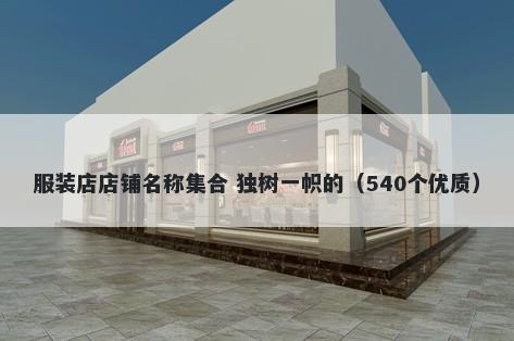 服装店店铺名称集合 独树一帜的（540个优质）