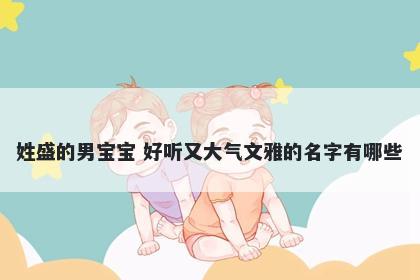 姓盛的男宝宝 好听又大气文雅的名字有哪些
