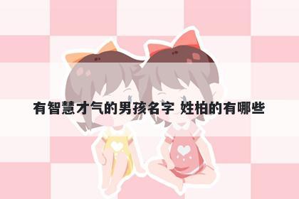 有智慧才气的男孩名字 姓柏的有哪些