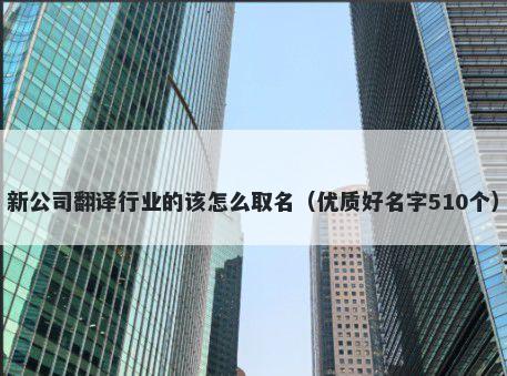 新公司翻译行业的该怎么取名（...
