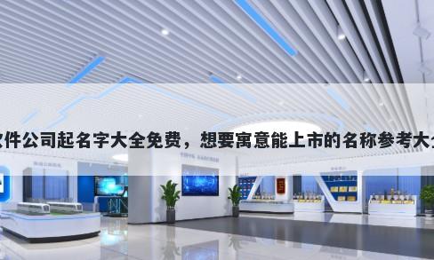 软件公司起名字大全免费，想要寓意能上市的名称参考大全