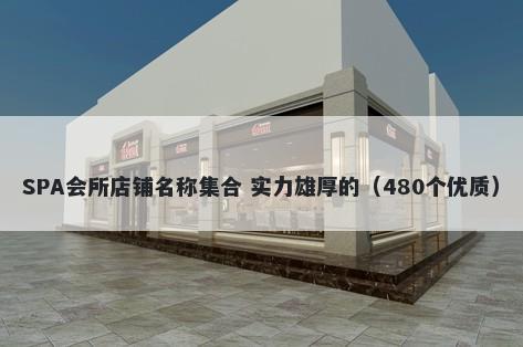 SPA会所店铺名称集合 实力雄厚的（480个优质）