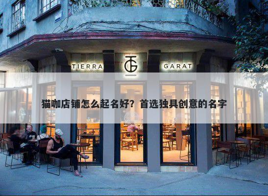 猫咖店铺怎么起名好？首选独具创意的名字