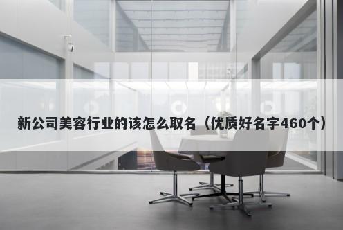 新公司美容行业的该怎么取名（优质好名字460个）