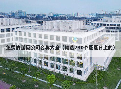 免费的蹦极公司名称大全（精选...