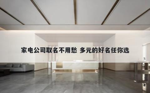 家电公司取名不用愁 多元的好名任你选