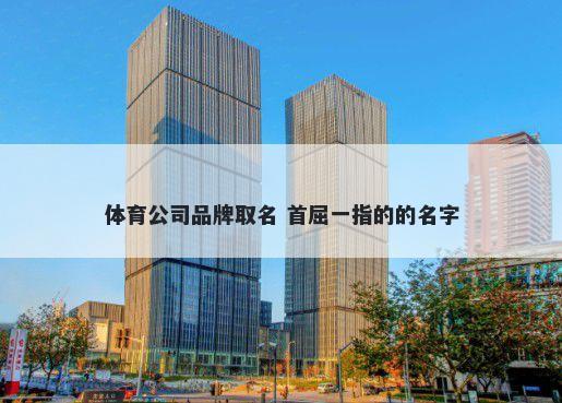 体育公司品牌取名 首屈一指的的名字