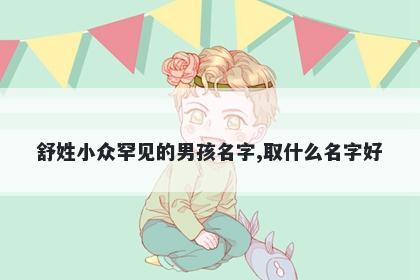 舒姓小众罕见的男孩名字,取什么名字好