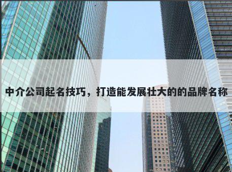 中介公司起名技巧，打造能发展壮大的的品牌名称