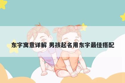 东字寓意详解 男孩起名用东字最...