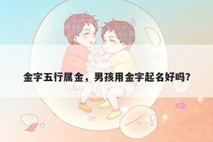 金字五行属金，男孩用金字起名...