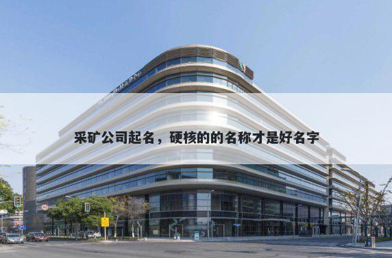 采矿公司起名，硬核的的名称才...