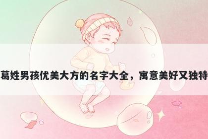 葛姓男孩优美大方的名字大全，寓意美好又独特