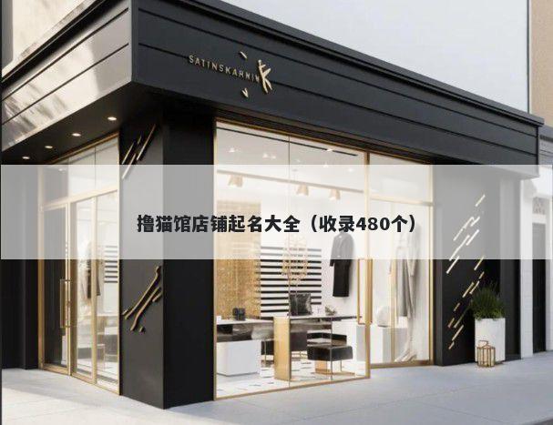 撸猫馆店铺起名大全（收录480个...