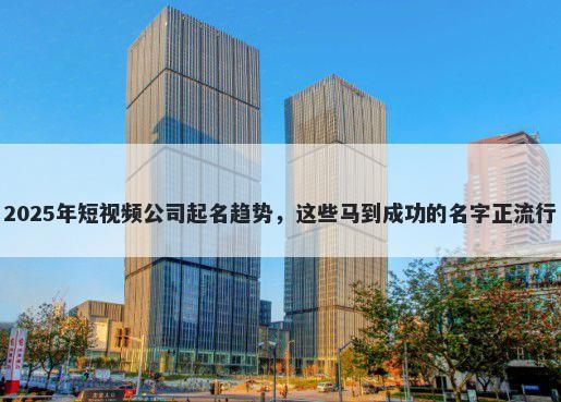 2025年短视频公司起名趋势，这...