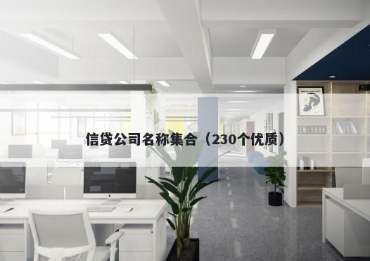 信贷公司名称集合（230个优质）