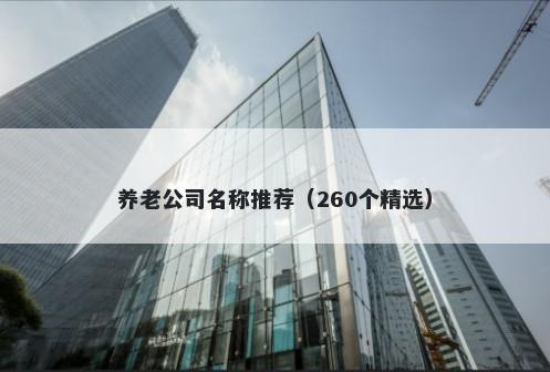 养老公司名称推荐（260个精选）
