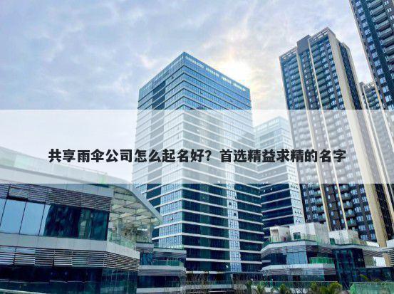 共享雨伞公司怎么起名好？首选精益求精的名字