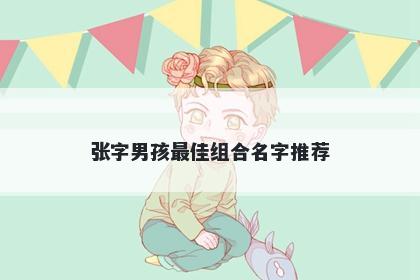 张字男孩最佳组合名字推荐