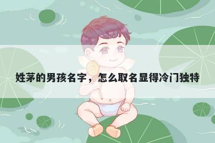 姓茅的男孩名字，怎么取名显得...