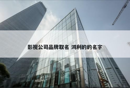 影视公司品牌取名 鸿利的的名字