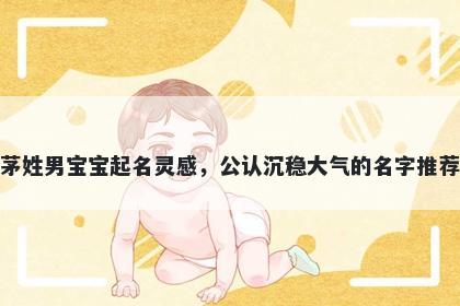 茅姓男宝宝起名灵感，公认沉稳...