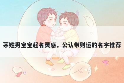 茅姓男宝宝起名灵感，公认带财...