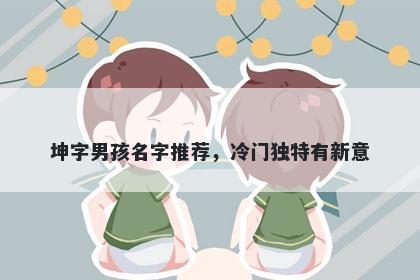 坤字男孩名字推荐，冷门独特有...